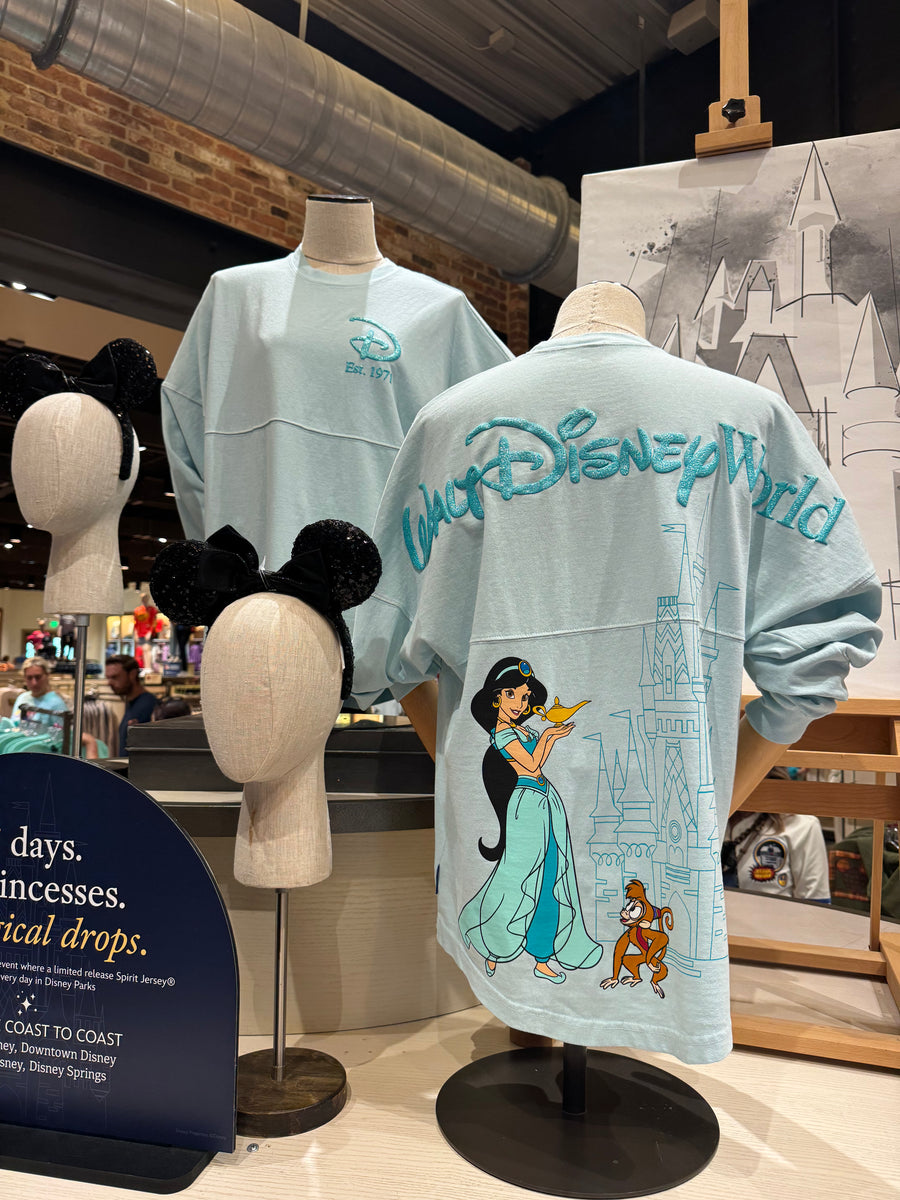 Spirit Jersey X Disney Parks