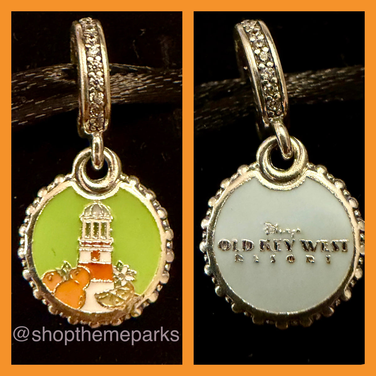 Disney Resort Exclusive Items
