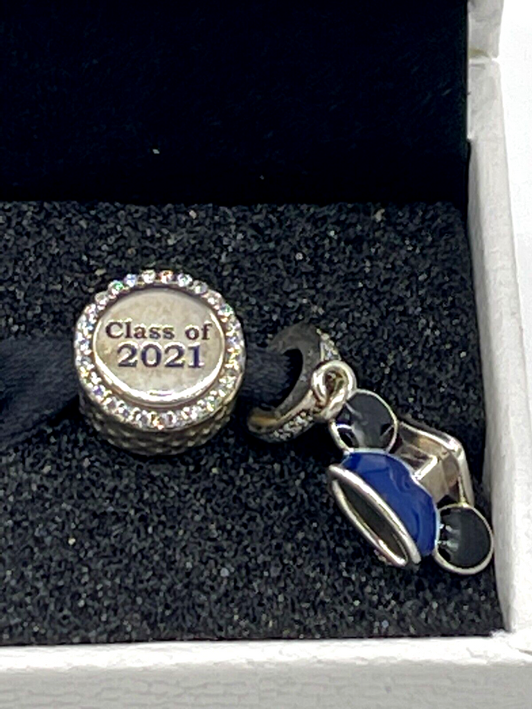 Disney pandora park exclusive 2025 2018